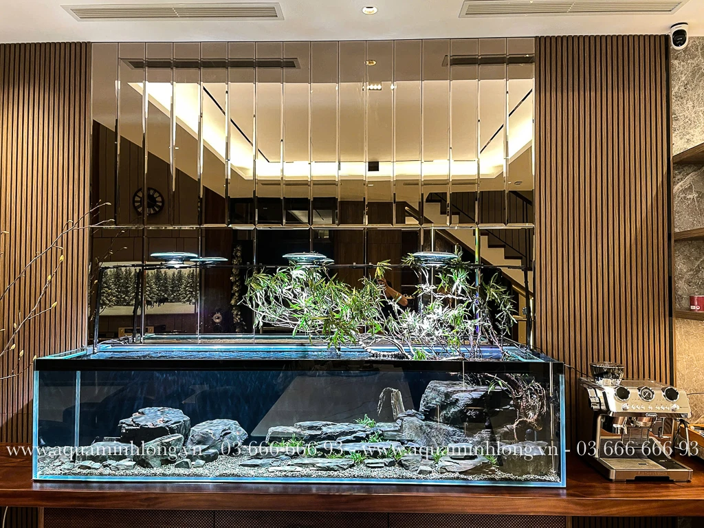 Bể này đang trend <3